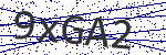 Code verification